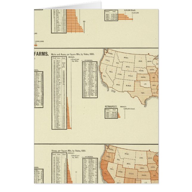 Caballos, mulas, asnos, ovejas (Frente)