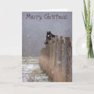 Caballos Nevado, Felices Navidad