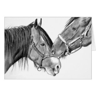 Caballos Nuzzling: Dibujo de lápiz original