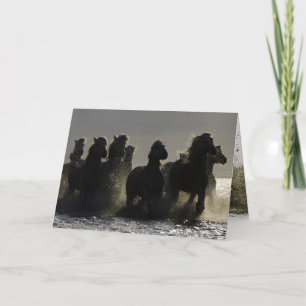 Caballos oscuros III Tarjeta de saludo a caballo