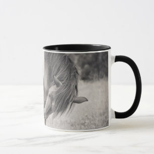Caballos que besan la taza