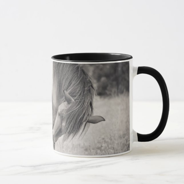 Caballos que besan la taza (Derecha)