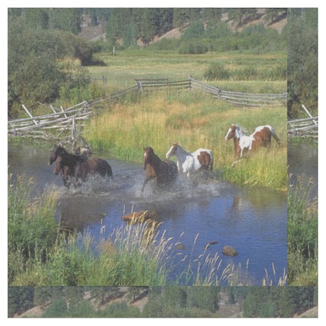 Caballos que corren a través de tela del agua (De cerca)