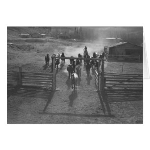Caballos que entran en un corral