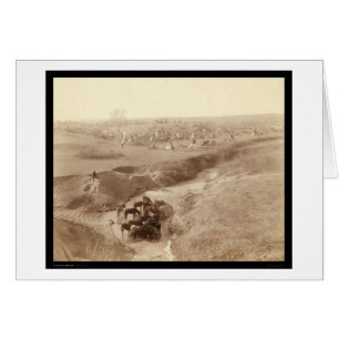 Caballos que riegan en la cala blanca SD 1891 de