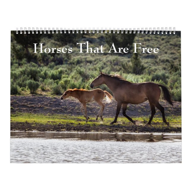 Caballos que son calendario gratis (Tapa)