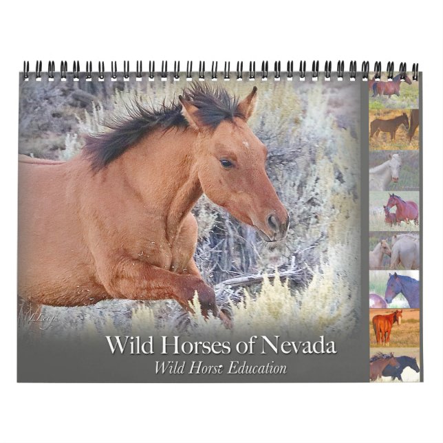 Caballos salvajes, calendario (Tapa)