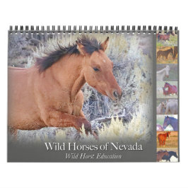 Caballos salvajes, calendario