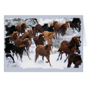 Caballos salvajes conducidos