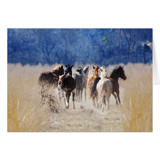 Caballos salvajes corriendo (Anverso (Horizontal))