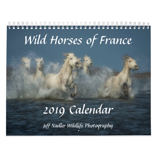 Caballos salvajes de Francia - calendario de pared (Tapa)