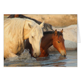 Caballos salvajes de la MANADA del PERSONALIZADO