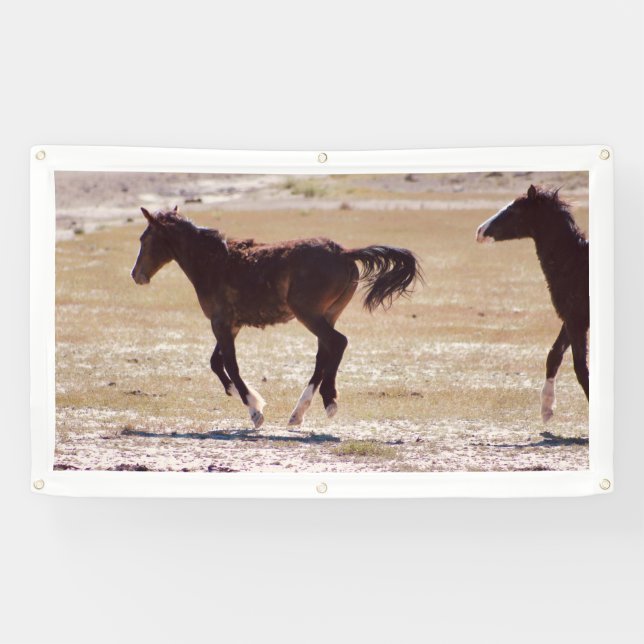 CABALLOS SALVAJES DE LA PANCARTA DE UTAH CON GRUPO (Horizontal)