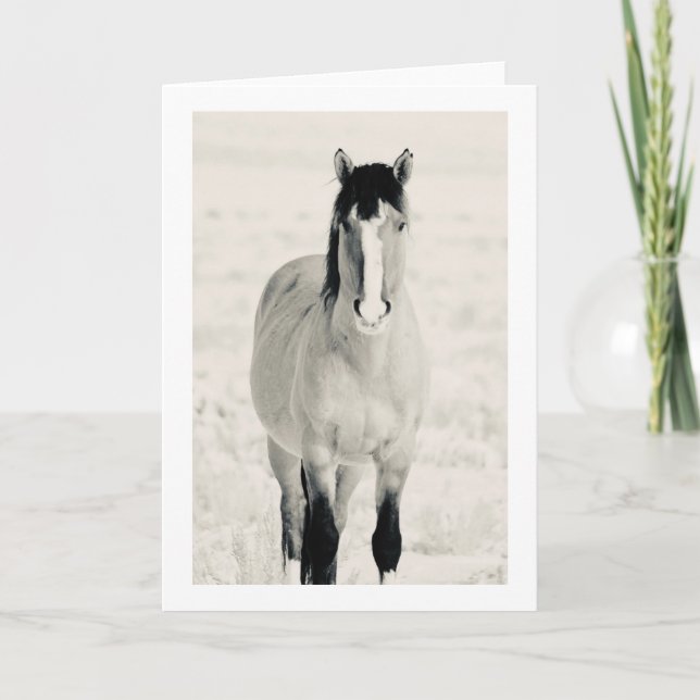 CABALLOS SALVAJES DE LA tarjeta de felicitación pl (Anverso)