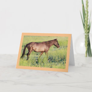 CABALLOS SALVAJES DE LA TARJETA DE NOTA DE UTAH OU