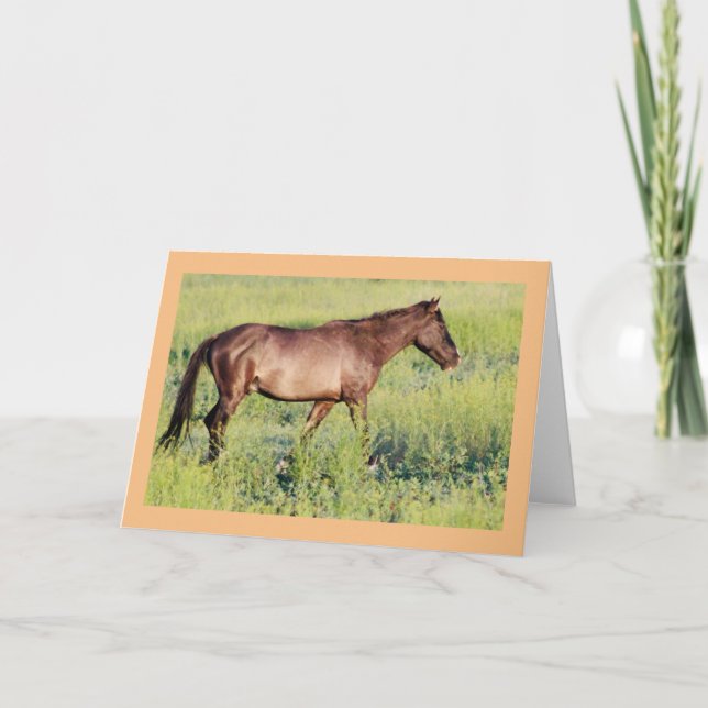 CABALLOS SALVAJES DE LA TARJETA DE NOTA DE UTAH OU (Anverso)