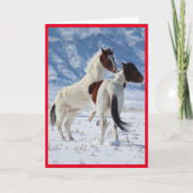 CABALLOS SALVAJES DE LA TARJETA DE REUNIÓN DE UTAH