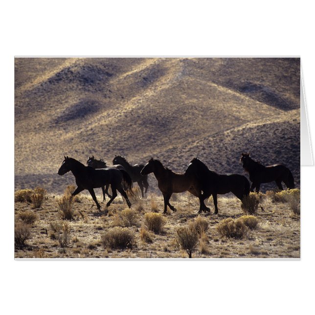 Caballos salvajes de Mustang en el desierto 1 (Anverso (Horizontal))