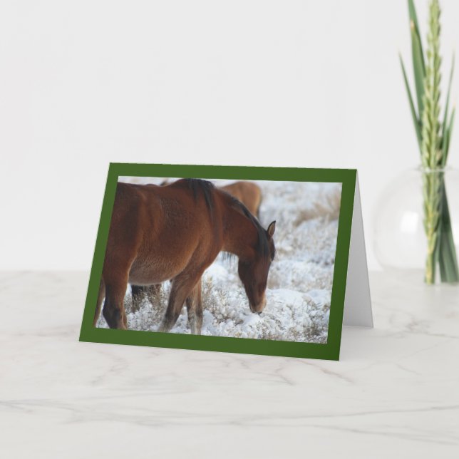 CABALLOS SALVAJES DE UTAH EN LA TARJETA DE RECIBIM (Anverso)