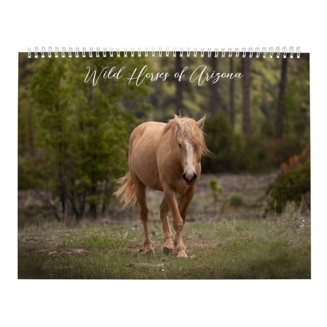 Caballos salvajes del calendario de Arizona (Tapa)