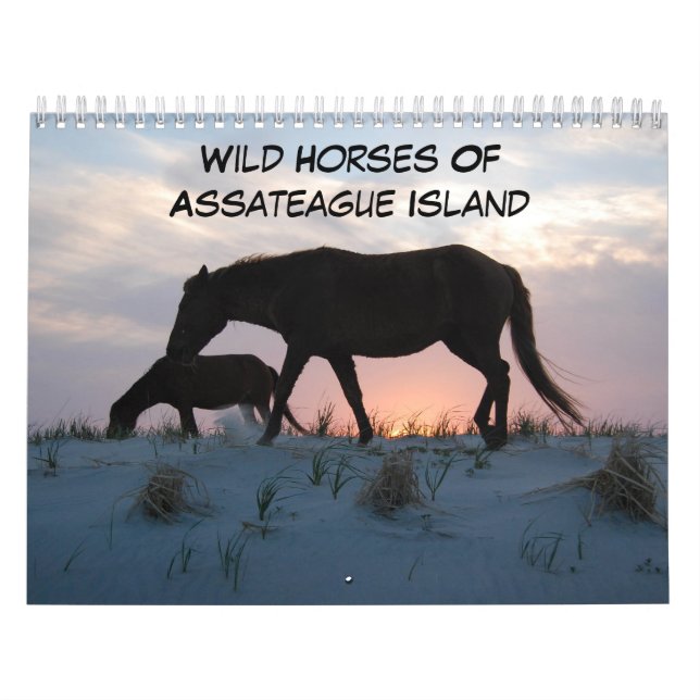 Caballos Salvajes Del Calendario De La Isla De Ass (Tapa)
