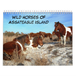 Caballos Salvajes Del Calendario De La Isla De Ass