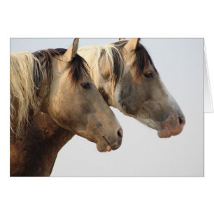 Caballos salvajes del desierto de Uinta