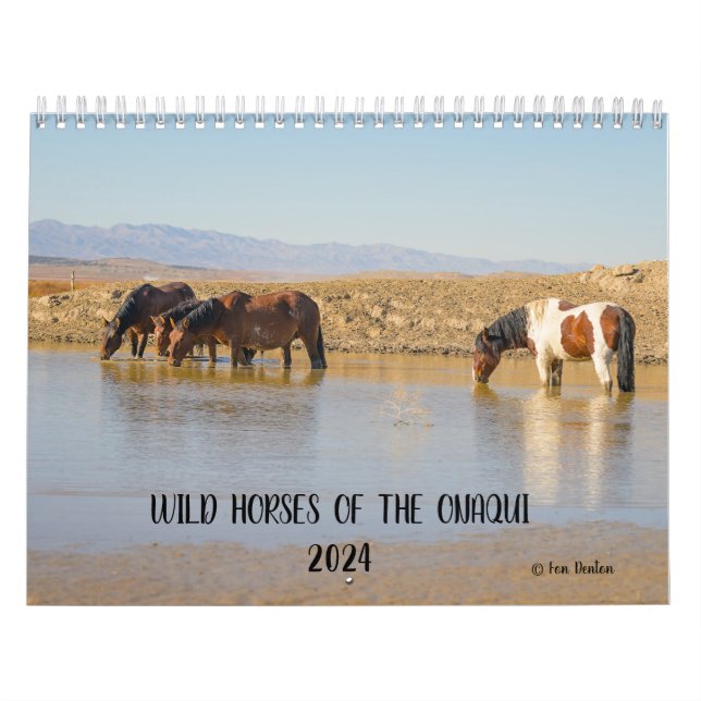 Caballos salvajes del Onaqui - Calendario 2024 (Tapa)