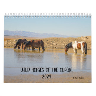 Caballos salvajes del Onaqui - Calendario 2024