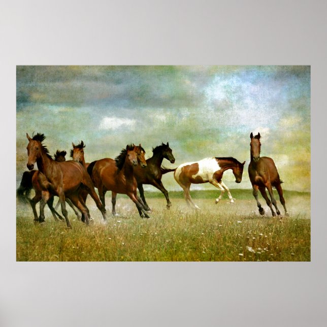 Caballos salvajes en funcionamiento - Arte creativ (Frente)