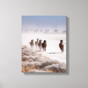 Caballos Salvajes Llanura Nevada Arte Invernal