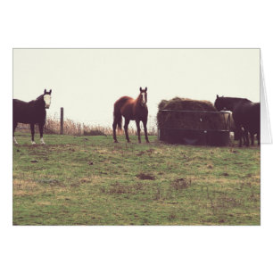 Caballos Vintage