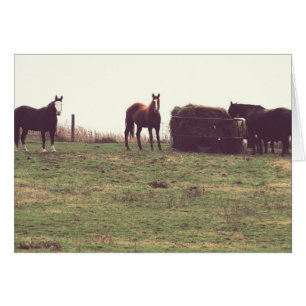 Caballos Vintage