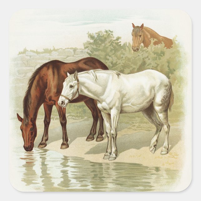 Caballos vintage cualquier pegatina de propósito (Anverso)