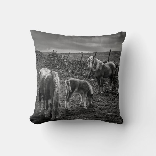 Caballos y almohada de pelos (Anverso)
