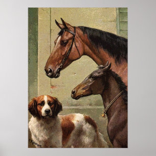 Caballos y arte vintage de St Bernard