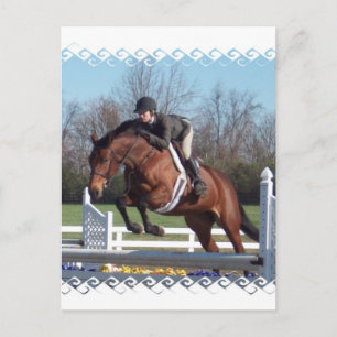 Caballos y muestra postal de saltos