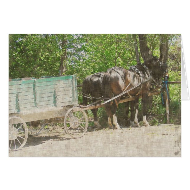 Caballos y vagón de Amish (Anverso (Horizontal))