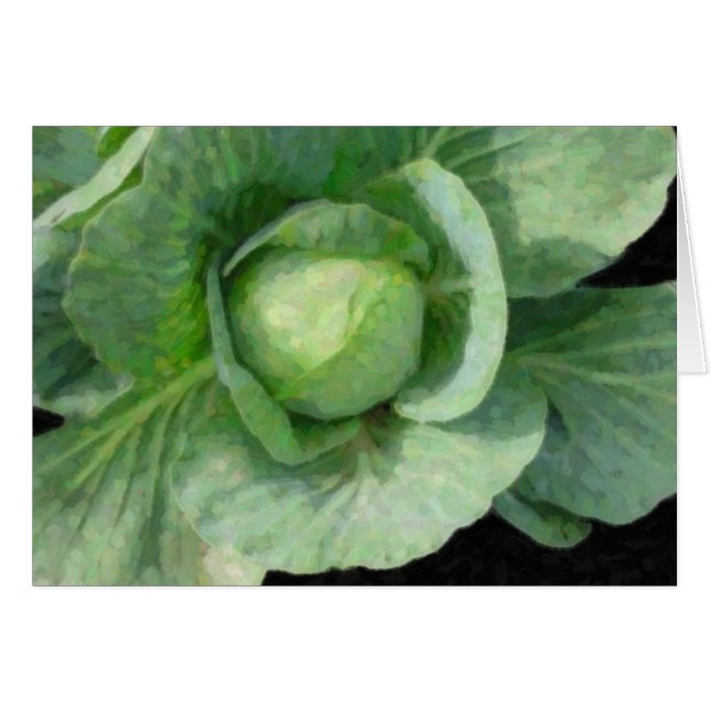 Cabbage (Anverso (Horizontal))