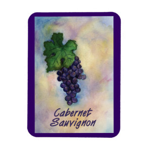 Cabernet Sauvignon Vino Uvas pintando imán de arte