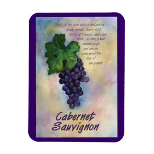 Cabernet Sauvignon Vino Uvas pintar imán de arte