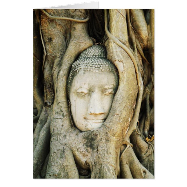 Cabeza de Buda en la higuera. Ayutthaya, Tailandia (Frente)
