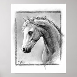 Cabeza de caballo Dibujo de carbón vegetal Arte eq