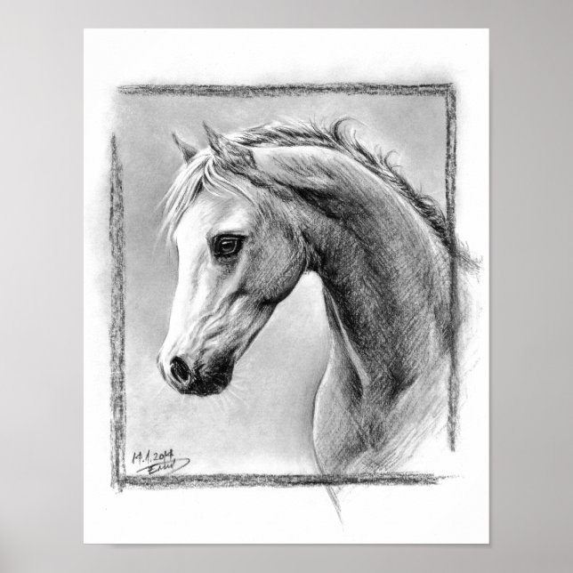 Cabeza de caballo Dibujo de carbón vegetal Arte eq (Frente)