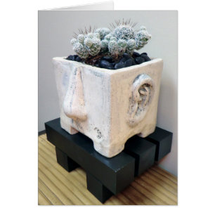 Cabeza de la olla con cactus delgadas por diseños