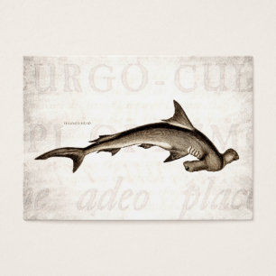 Cabeza de martillo del tiburón de Hammerhead de