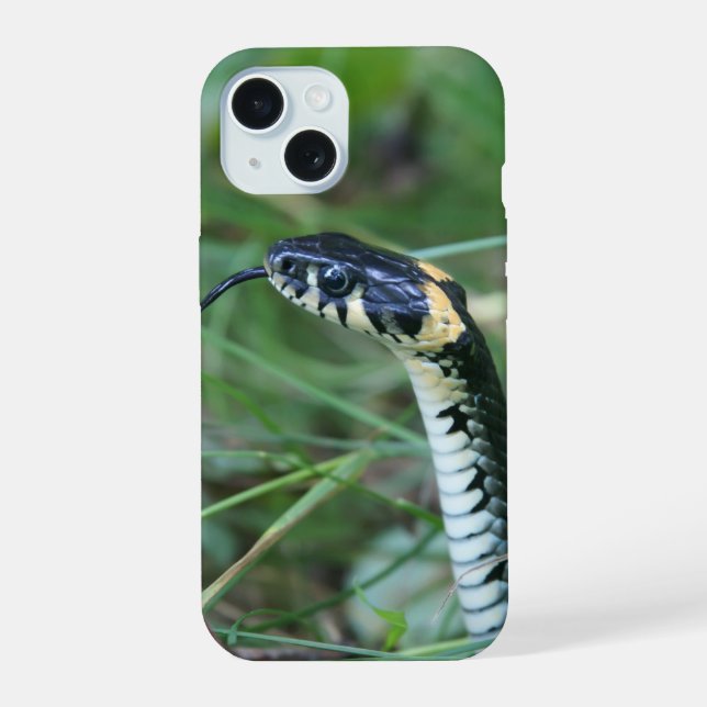 Cabeza de serpiente (Reverso )