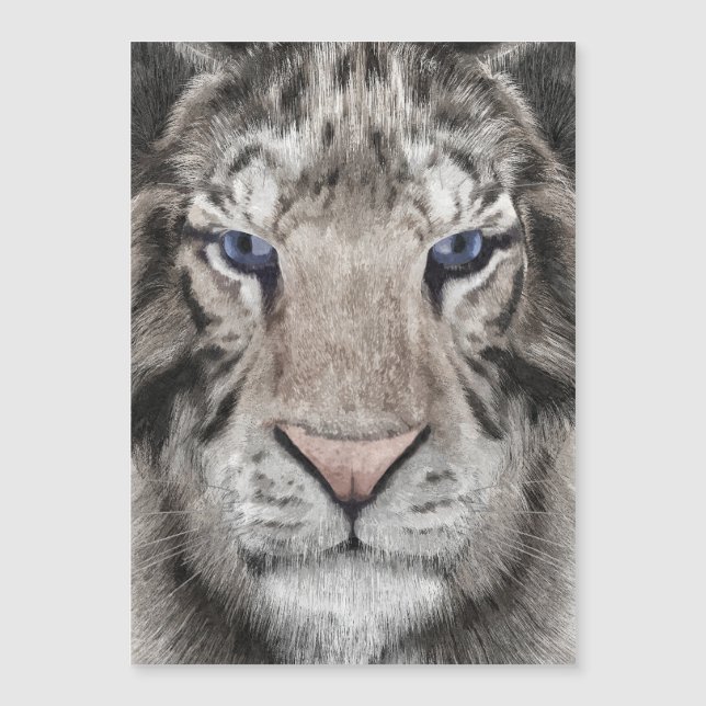 Cabeza de Tigre Blanco  (Anverso)