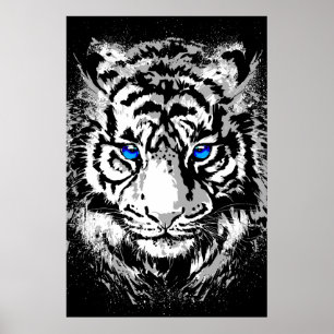 Cabeza de Tigre Blanco Siberiano - Póster de Tigre