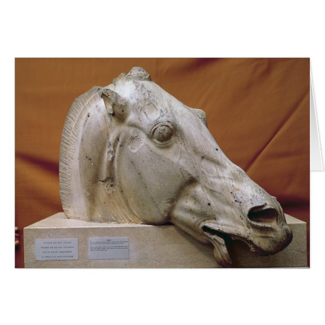 Cabeza de un caballo de Selene (Anverso (Horizontal))